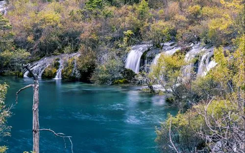 高性能高性能